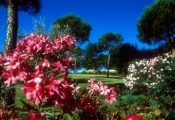 Raffaello Hotel Chianciano Terme